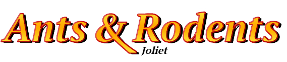 Joliet Ant Exterminator & Rodent Control Company Logo